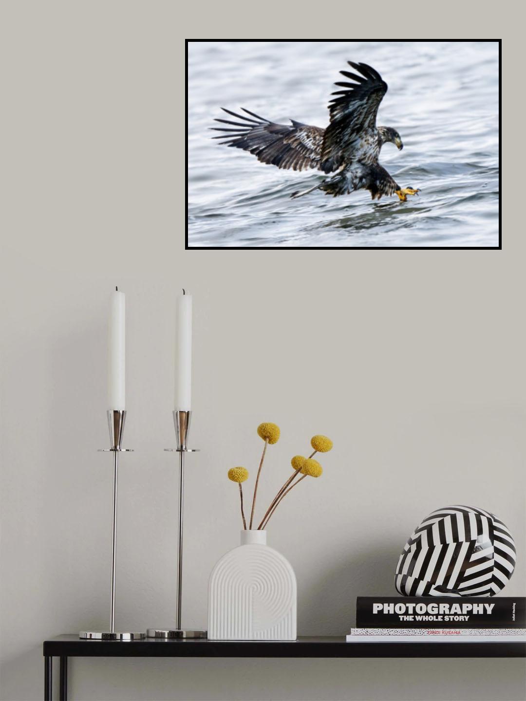Targeting Poster och Canvastavla