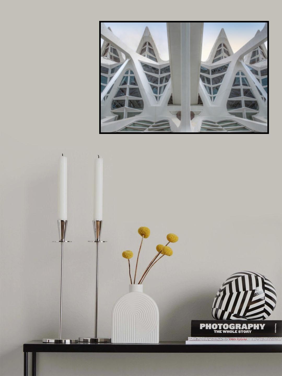 mirror image Poster och Canvastavla