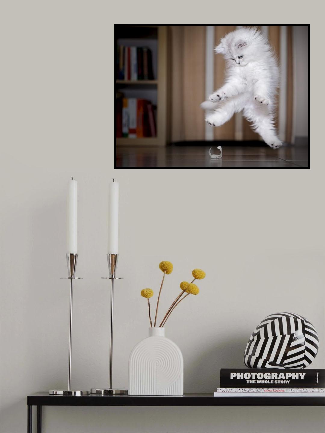 Kaiser Poster och Canvastavla