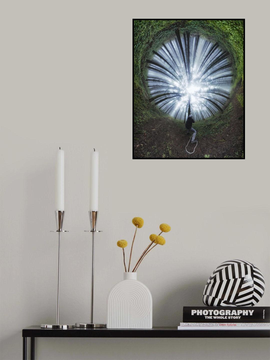 Light trapper Poster och Canvastavla