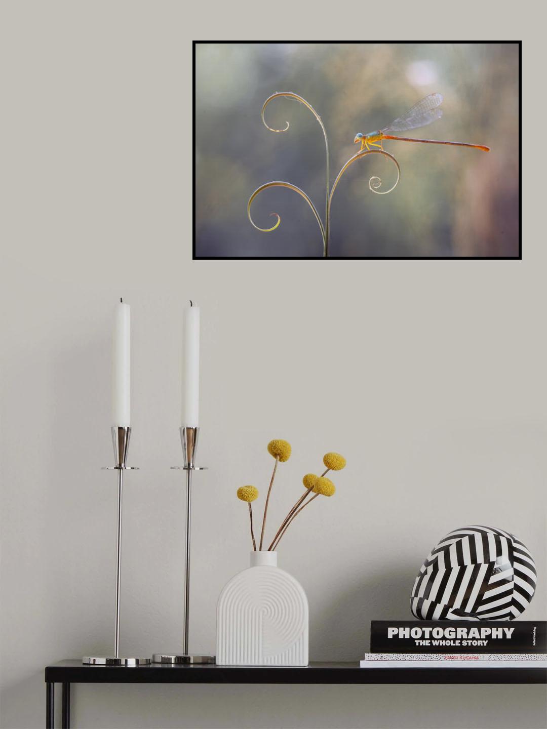 Damselflies and Leaf Edges Poster och Canvastavla