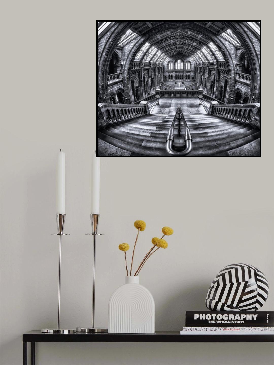 Harry Potter meets Escher and Darwin. Poster och Canvastavla