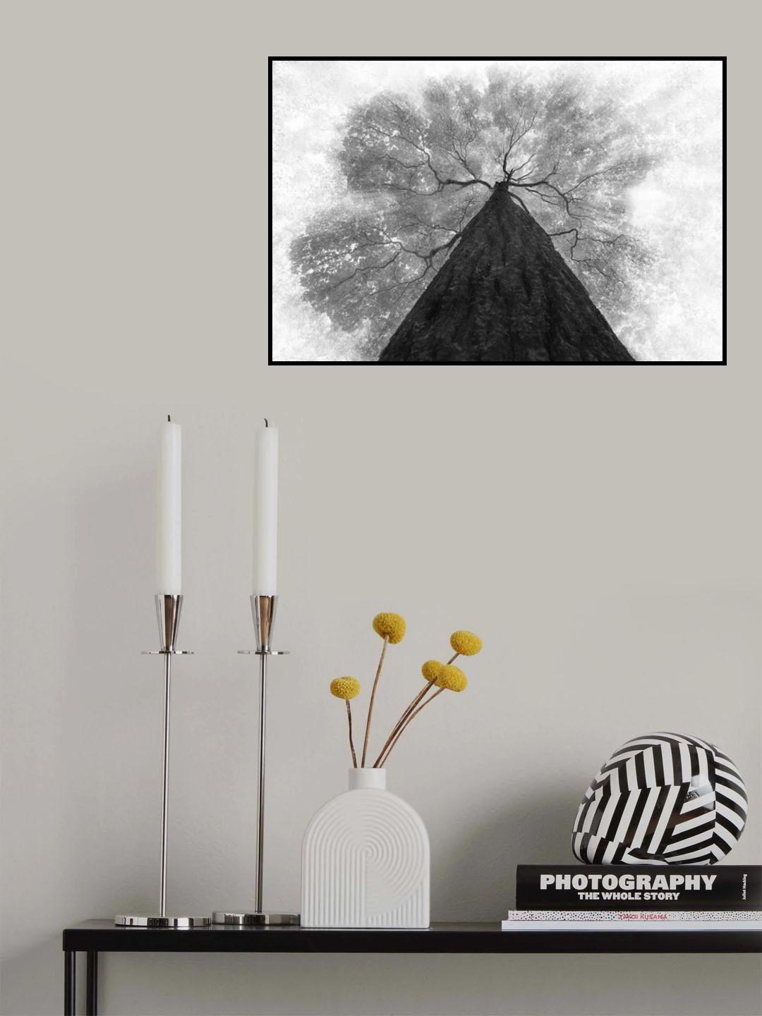 Grow to the light Poster och Canvastavla