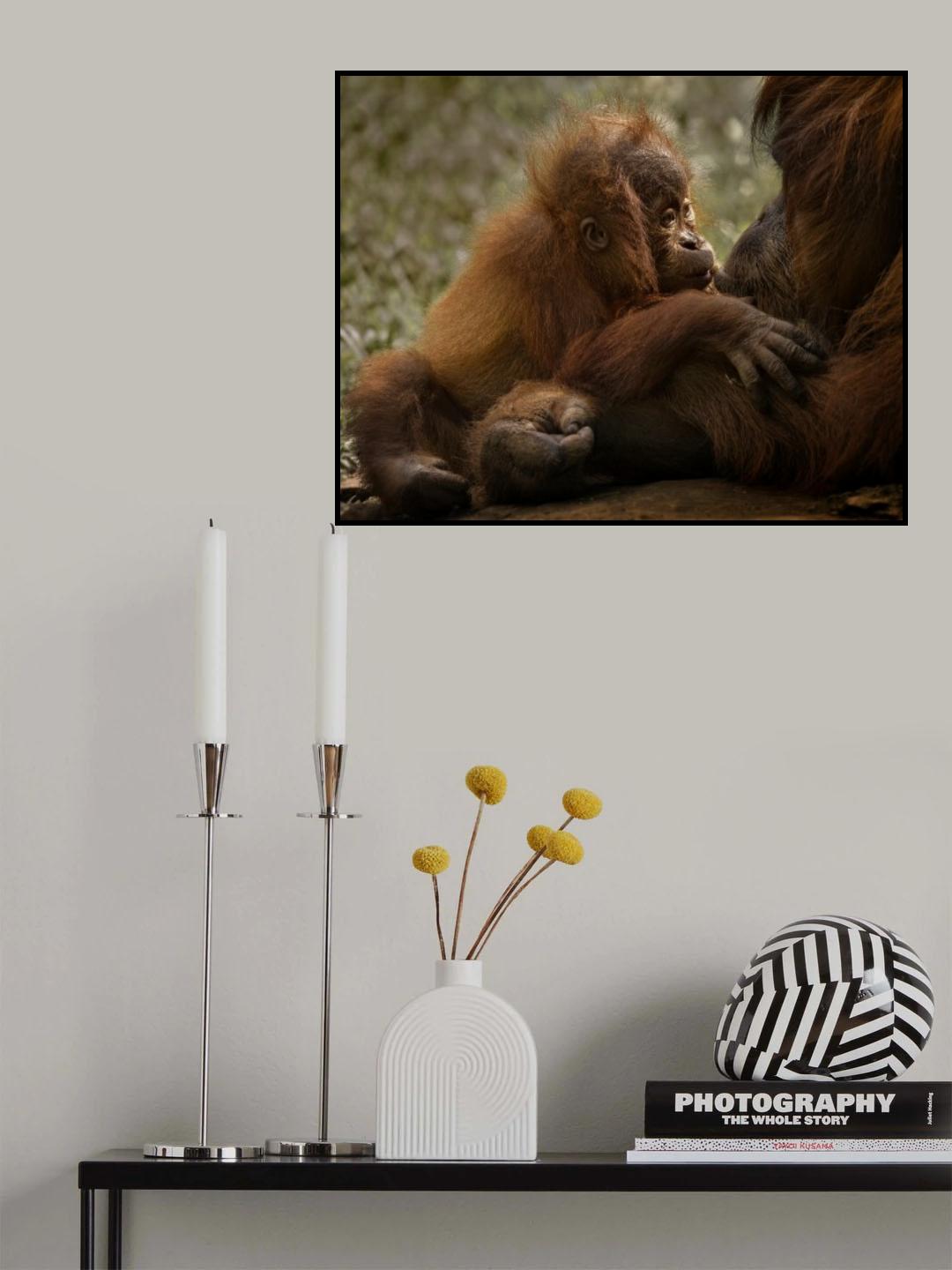Mother's love Poster och Canvastavla