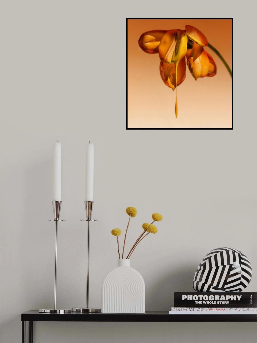 Tears of a flower Poster och Canvastavla