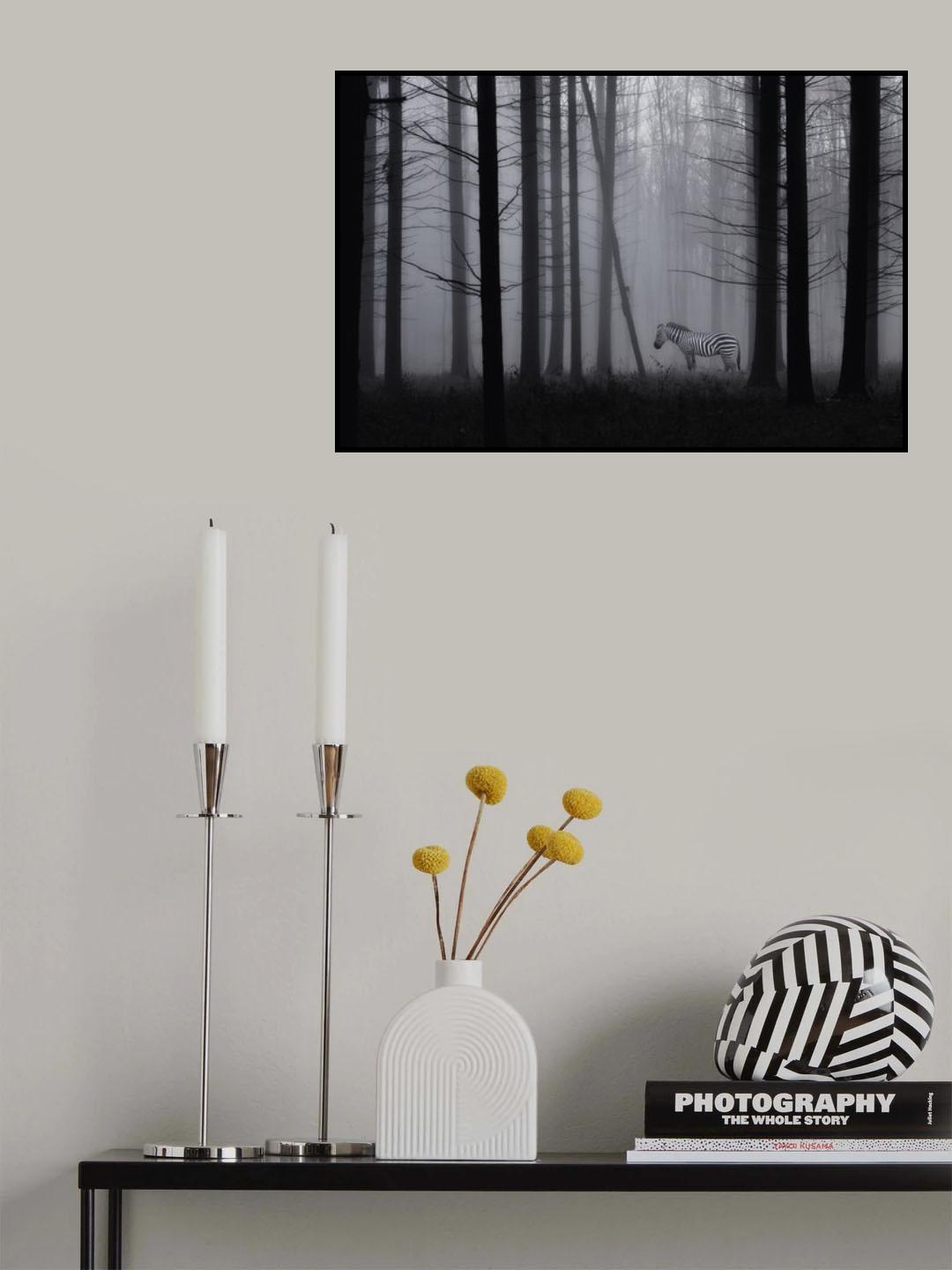 Grey zebra in the mist... Poster och Canvastavla