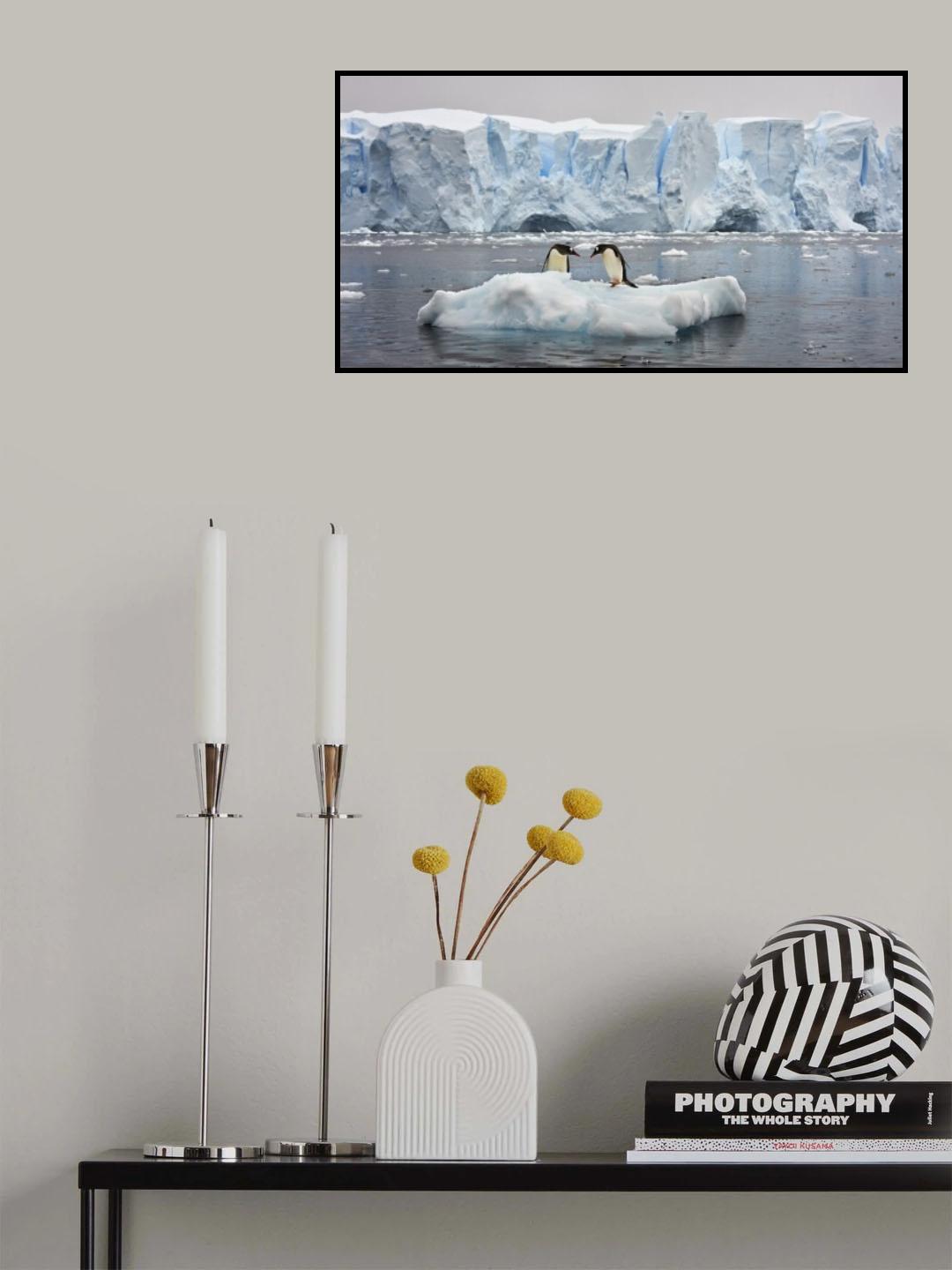 Have you seen here big fish? Poster och Canvastavla