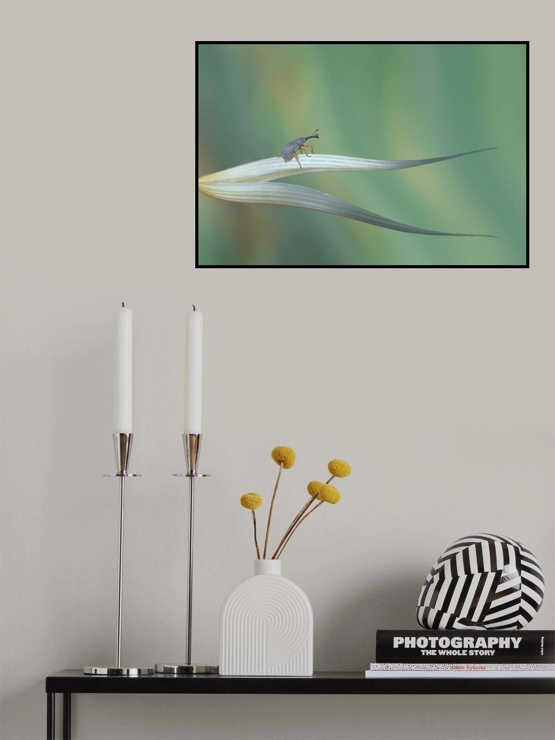 Dragon hunter... Poster och Canvastavla