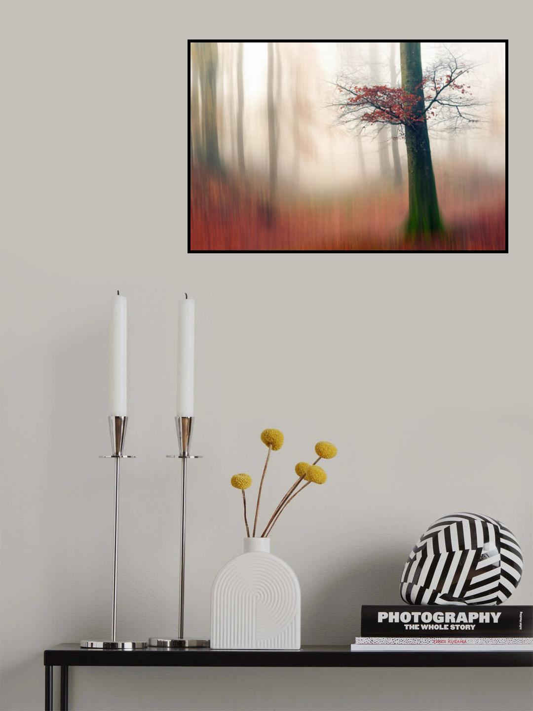 Red Leaves and the hidden path. Poster och Canvastavla