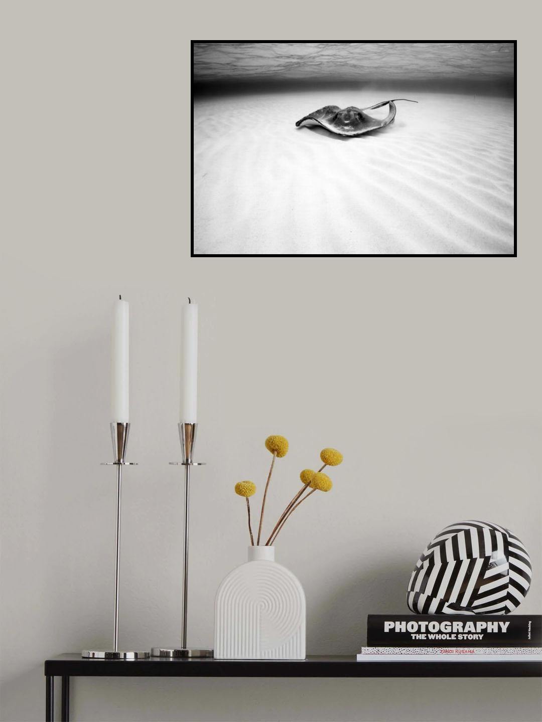 Stingray Poster och Canvastavla