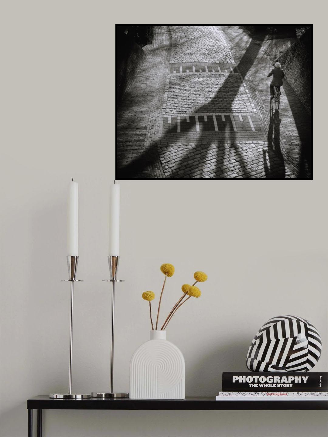 Shadow Poster och Canvastavla