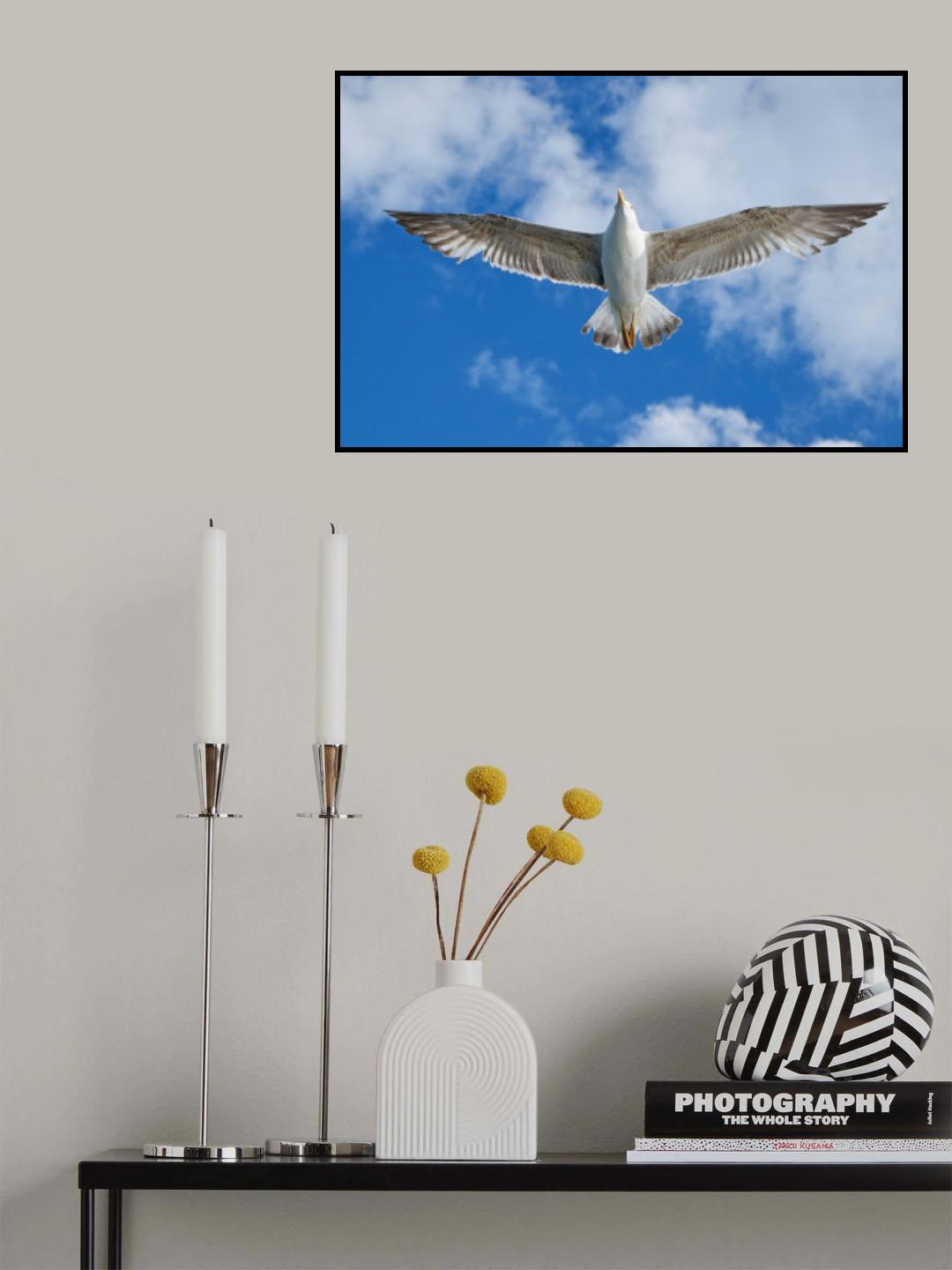 flying seagull Poster och Canvastavla