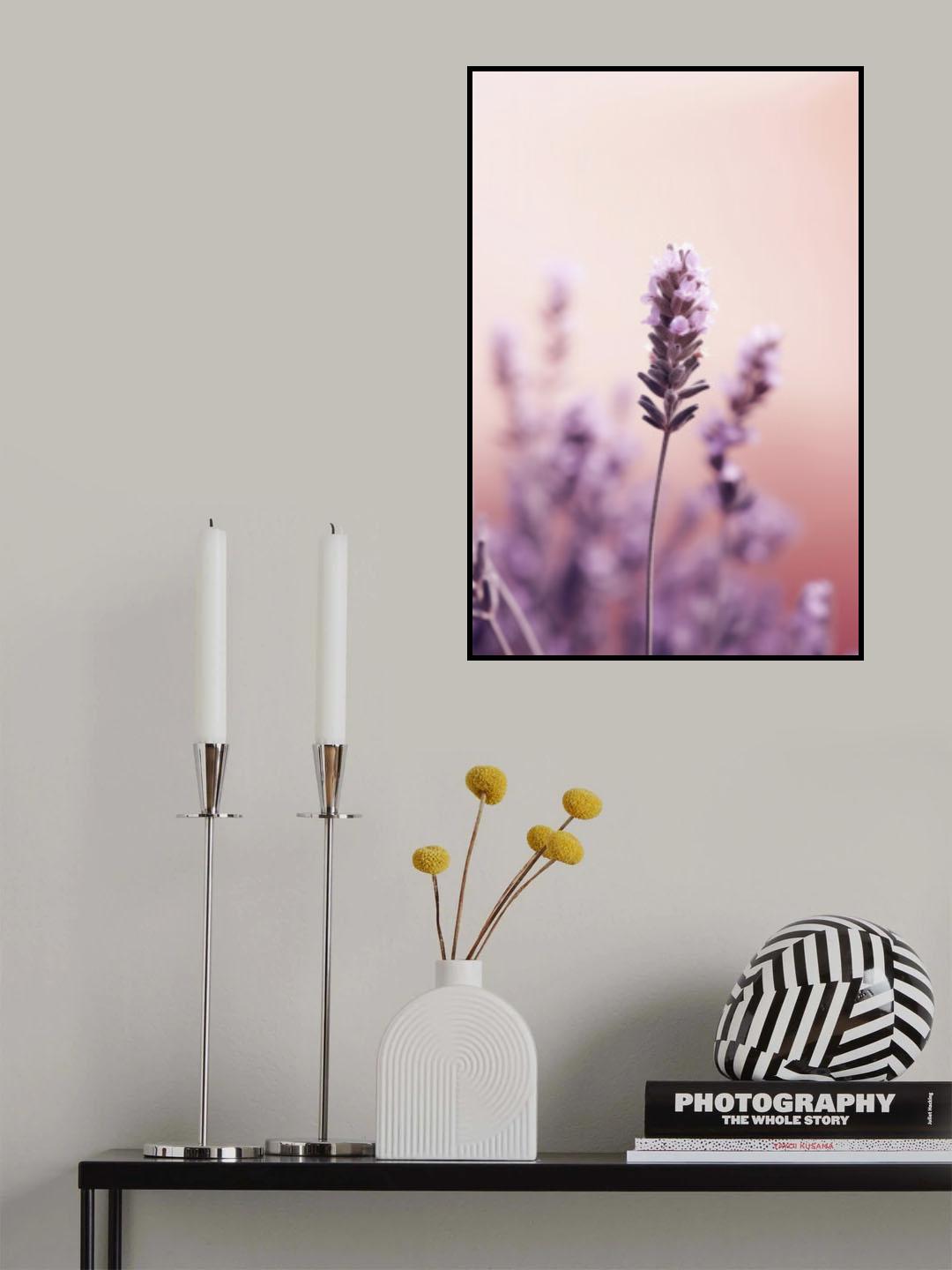 Lavender Detail Poster och Canvastavla