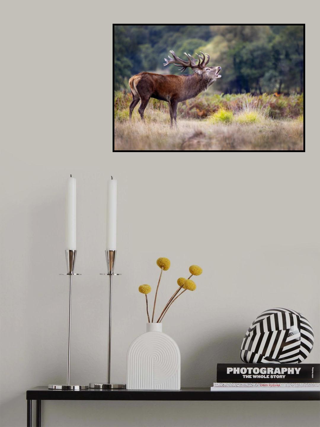 The scream of the deer Poster och Canvastavla