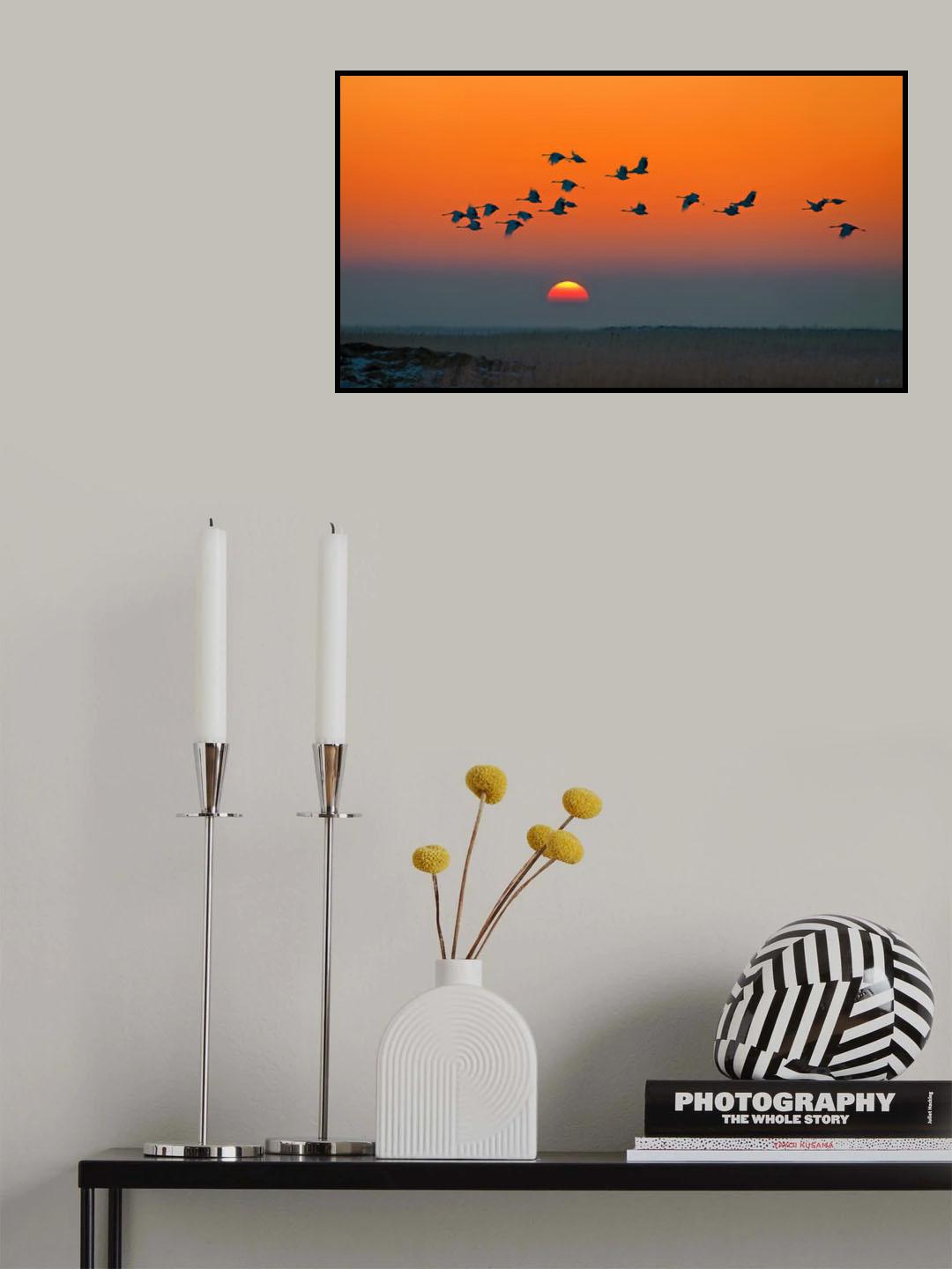 Red-crowned Cranes Poster och Canvastavla