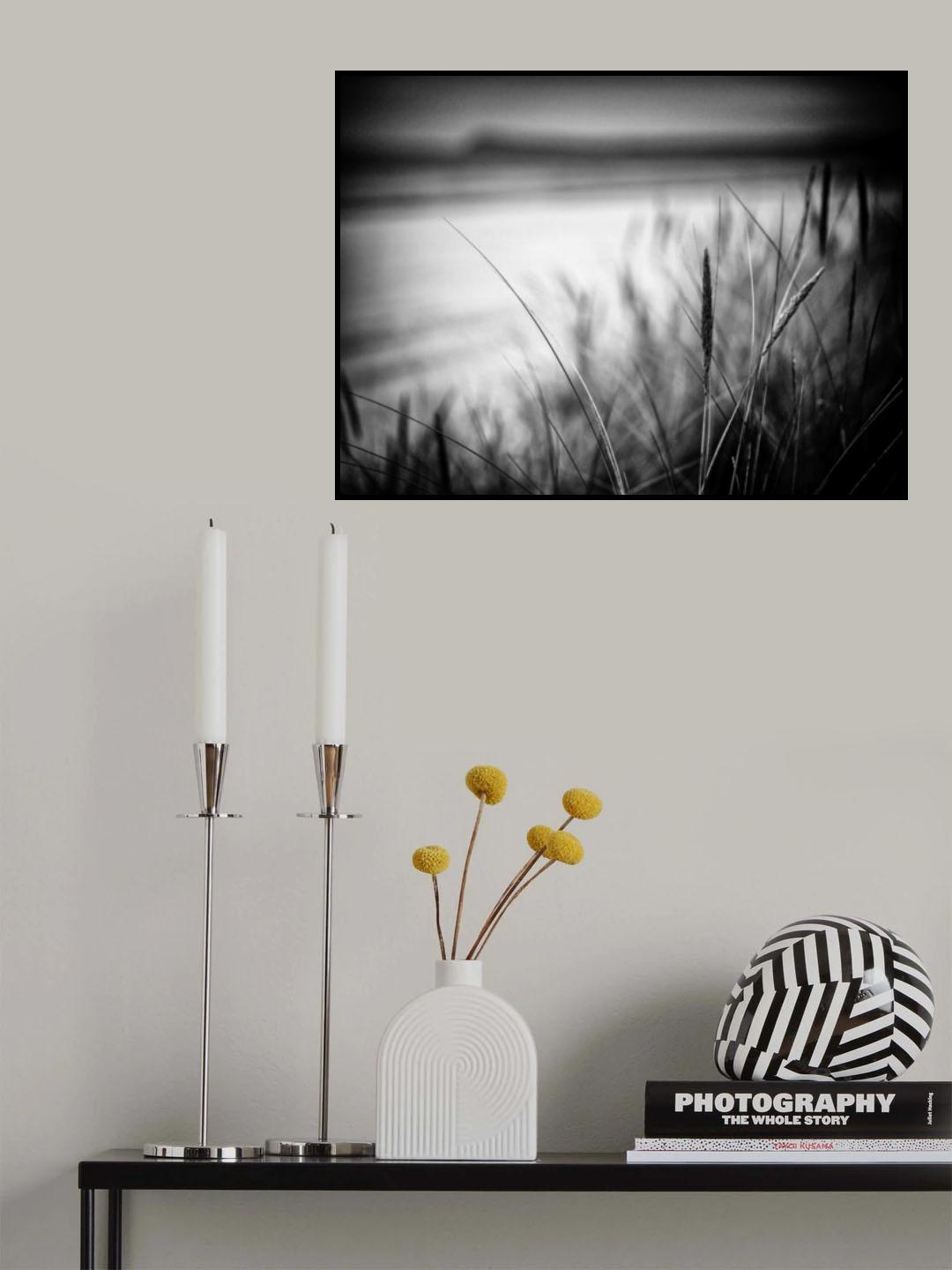 dune grass spot Poster och Canvastavla