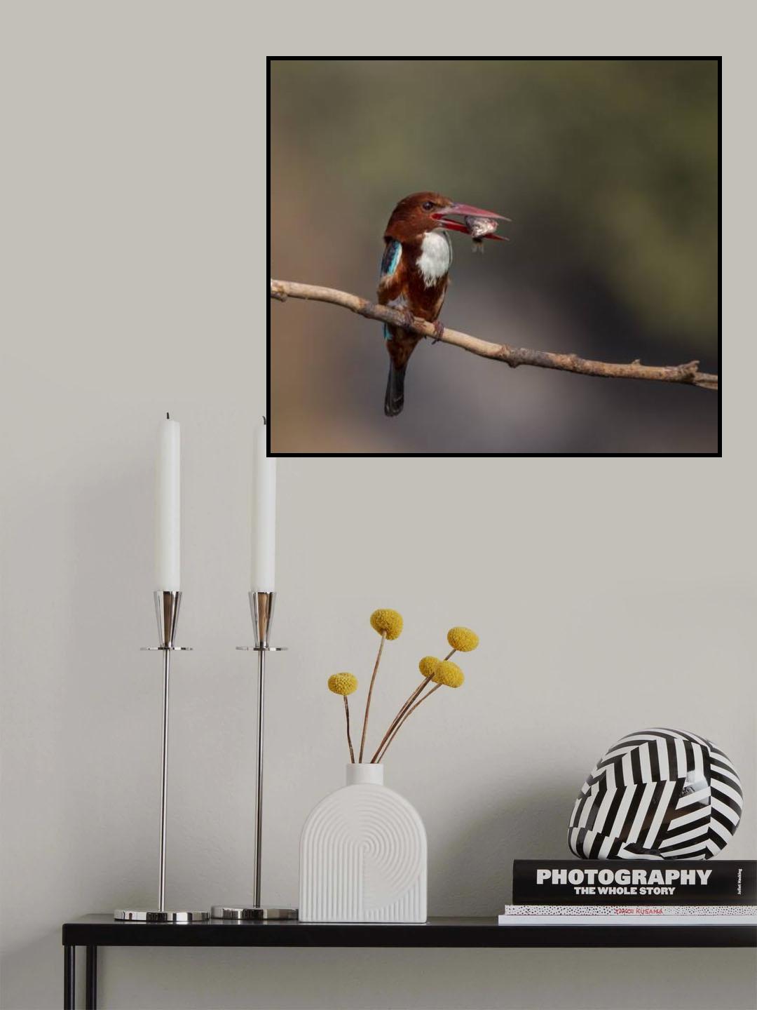 Kingfisher with Fish Poster och Canvastavla