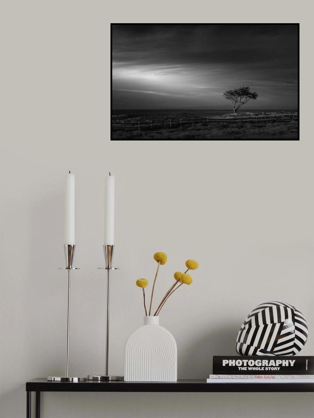 The lone tree Poster och Canvastavla
