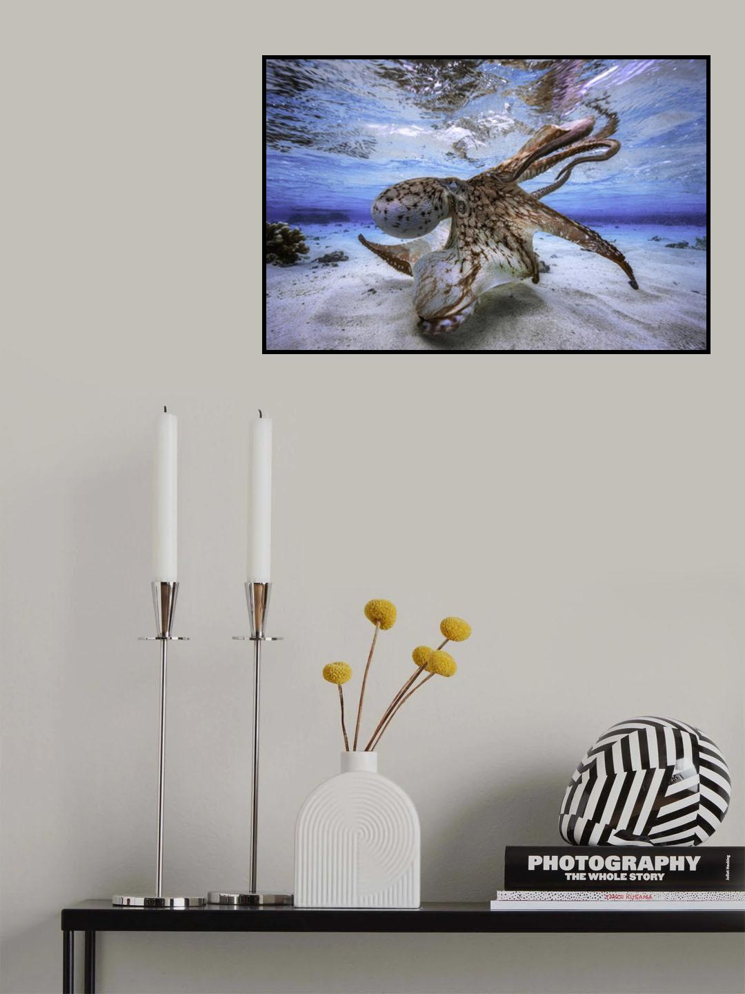 Dancing Octopus Poster och Canvastavla