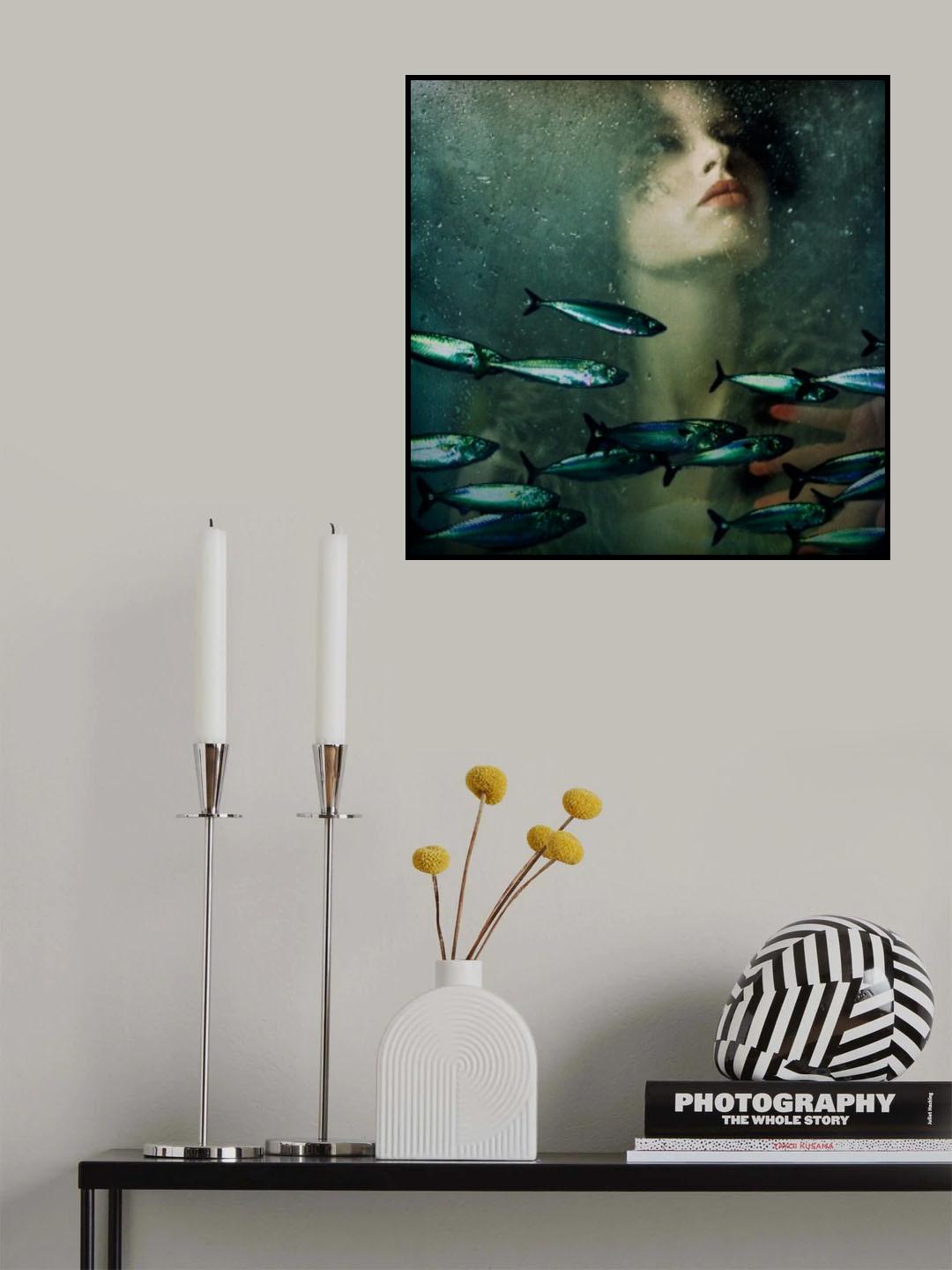Venus in furs Poster och Canvastavla