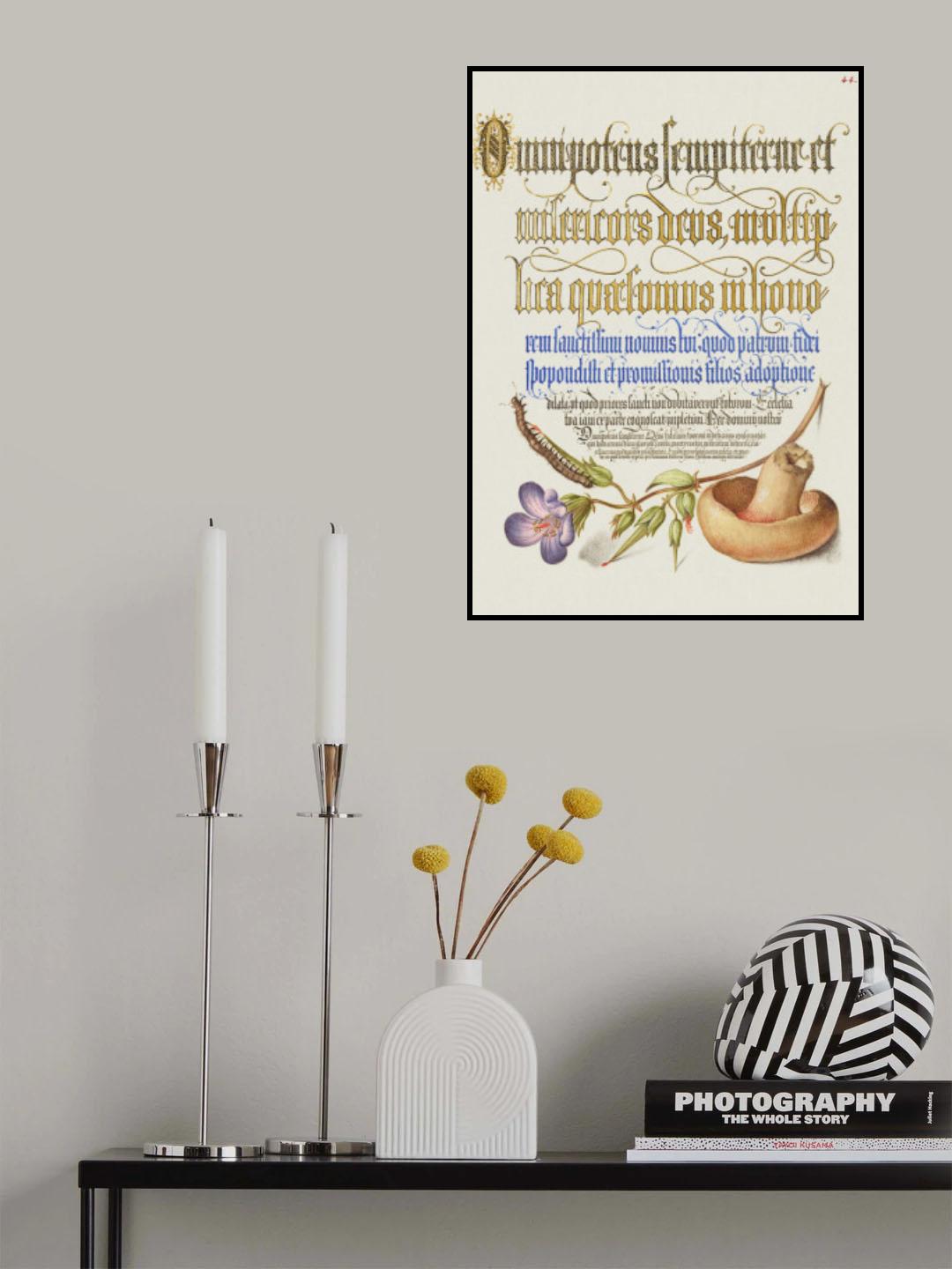 Mushroom Poster Poster och Canvastavla
