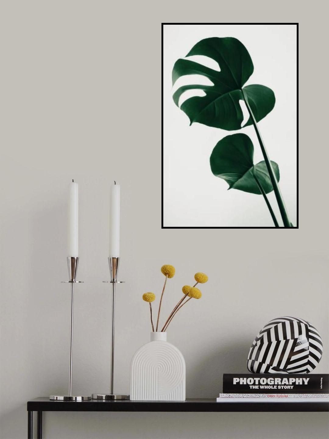 Monstera Natural 41 Poster och Canvastavla