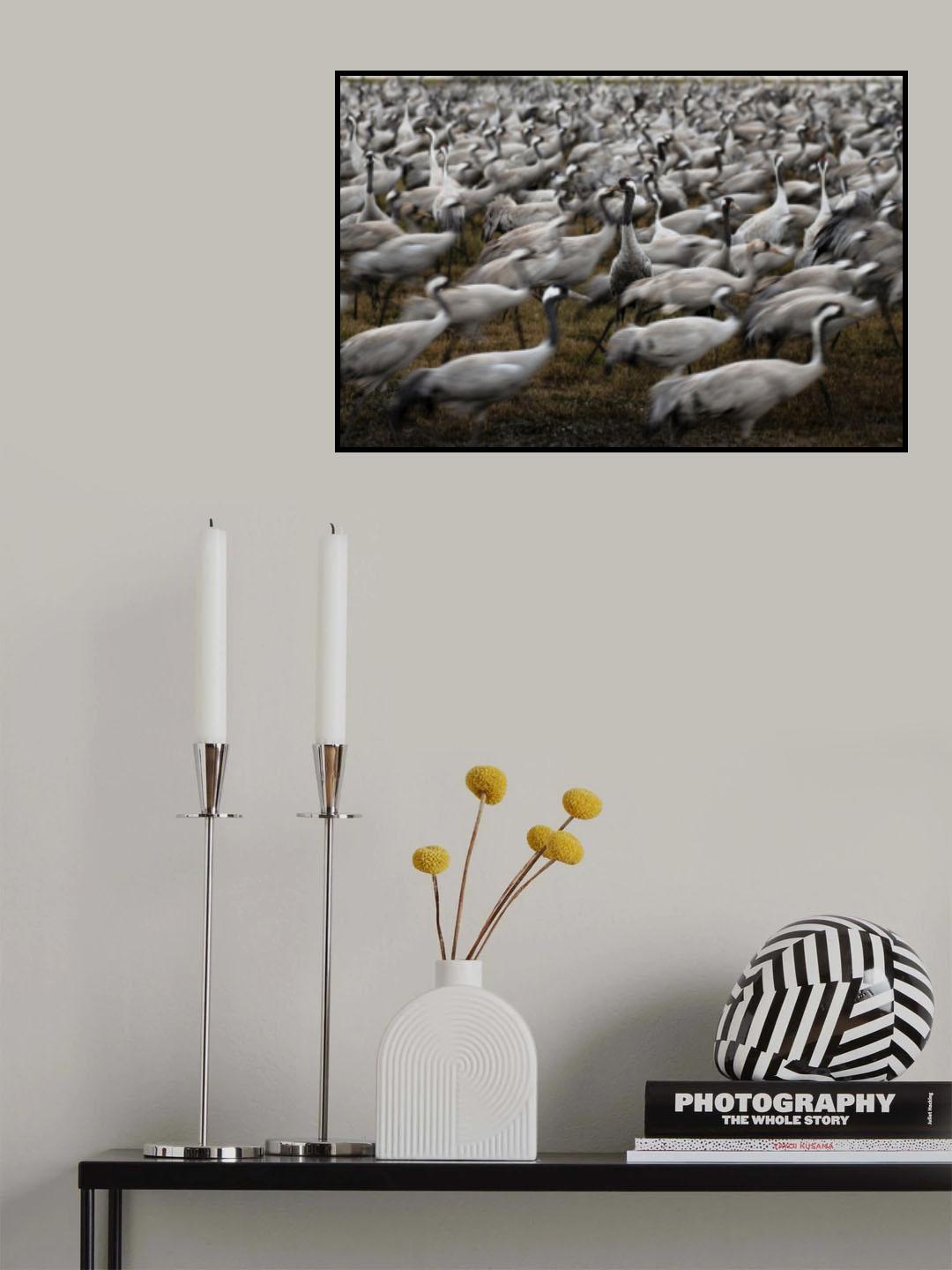 Movement and Stillness Poster och Canvastavla