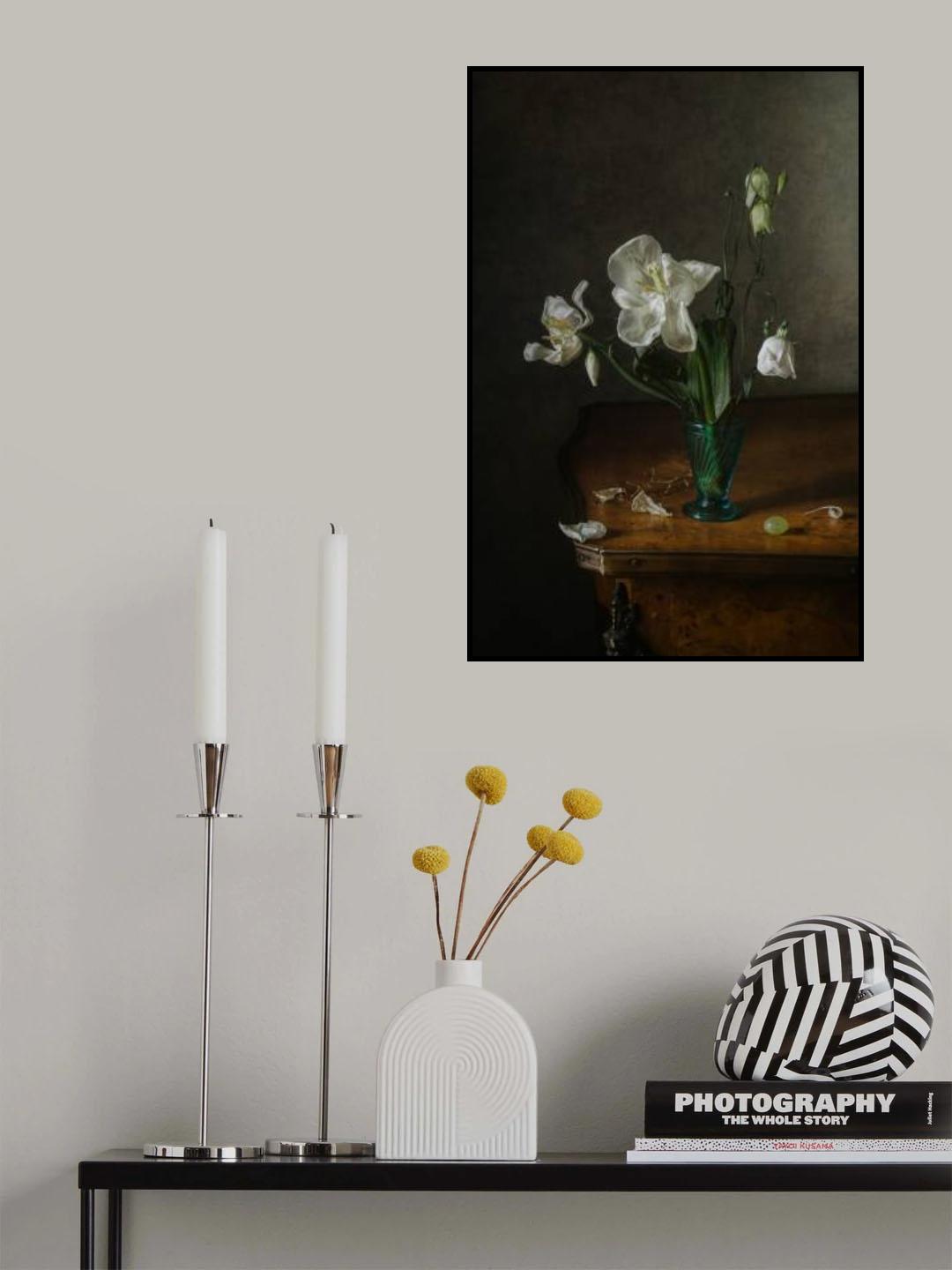 White petals Poster och Canvastavla