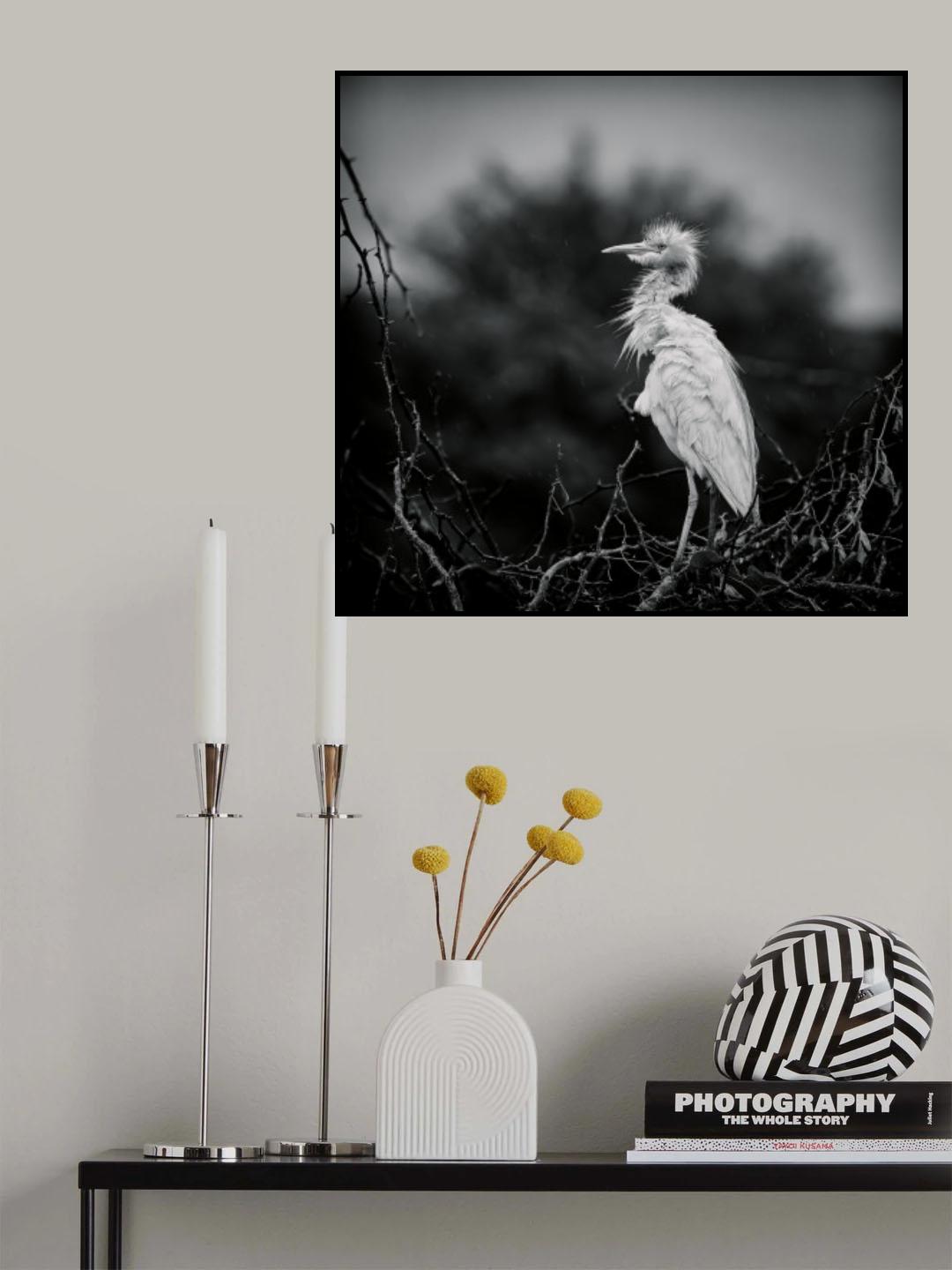 Invigrating Rain ! Poster och Canvastavla
