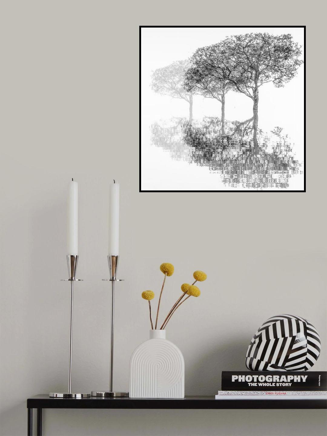 Three trees. Poster och Canvastavla