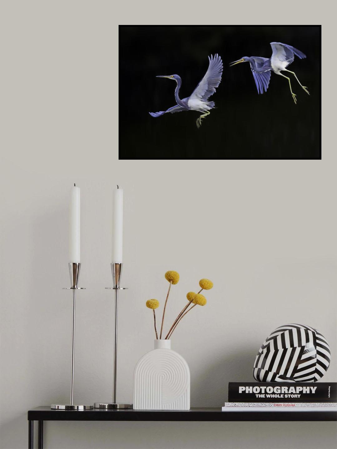 Companion Poster och Canvastavla