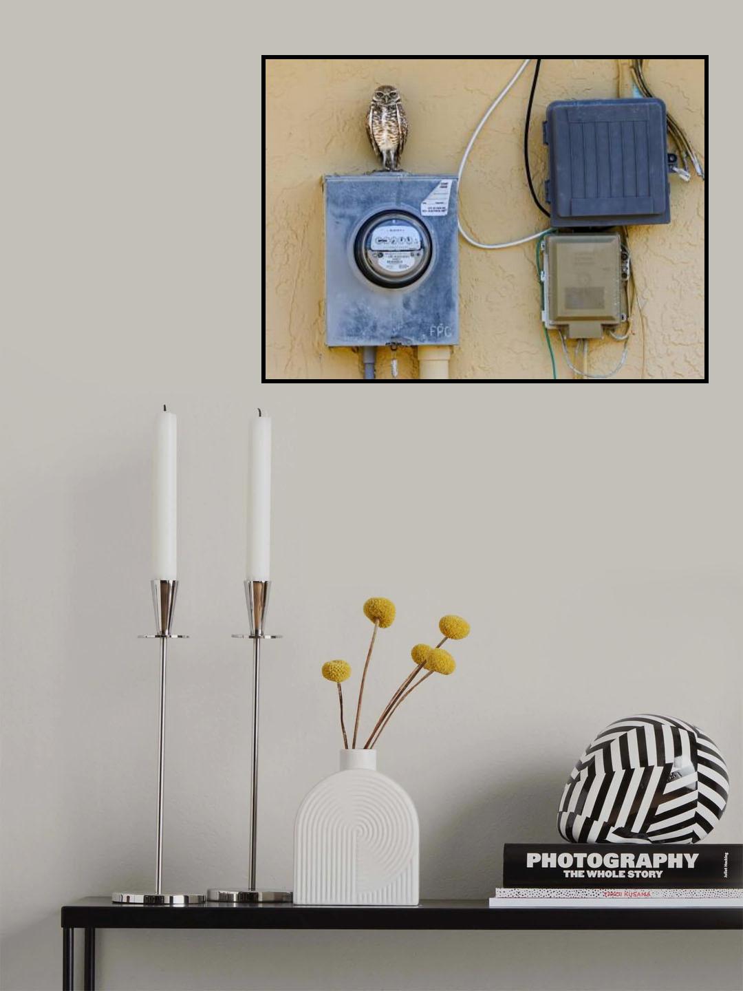 Meter Maid Poster och Canvastavla