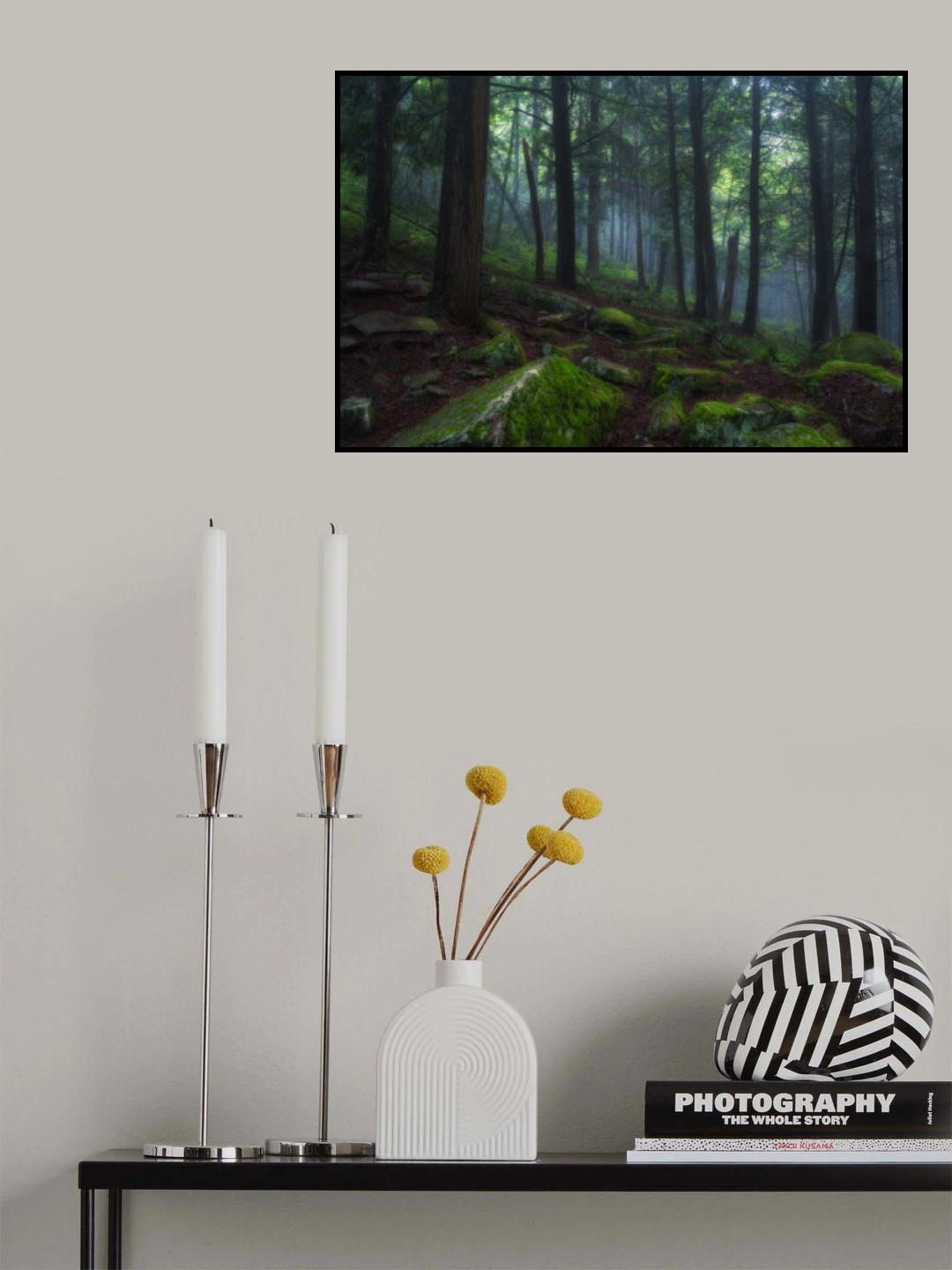 Foggy Forest Poster och Canvastavla