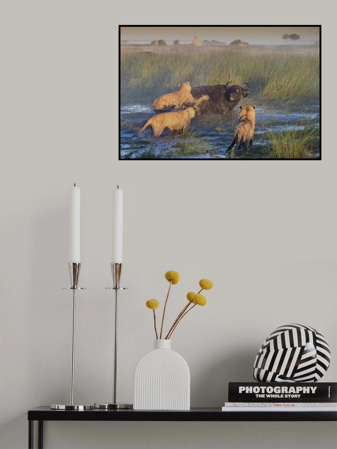 Get off my back Poster och Canvastavla