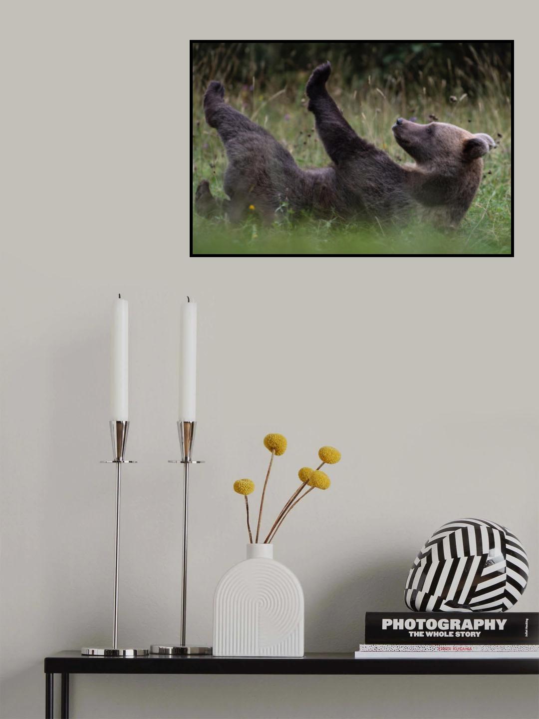 Claws are fine Poster och Canvastavla