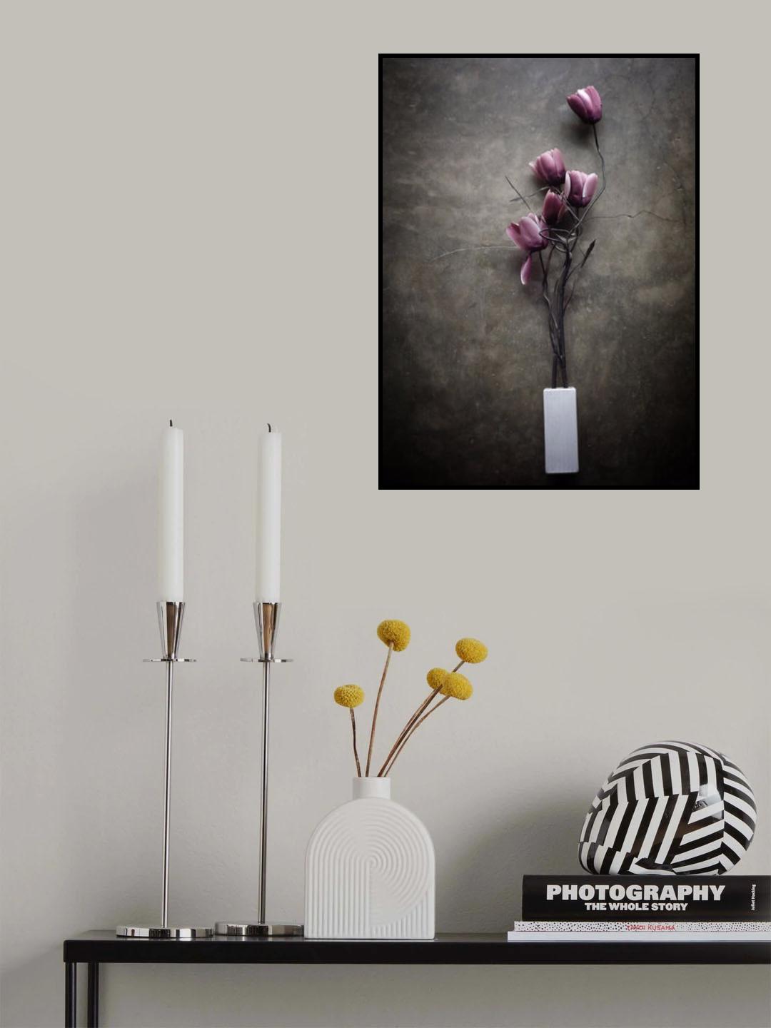 The Purple Tulip Poster och Canvastavla