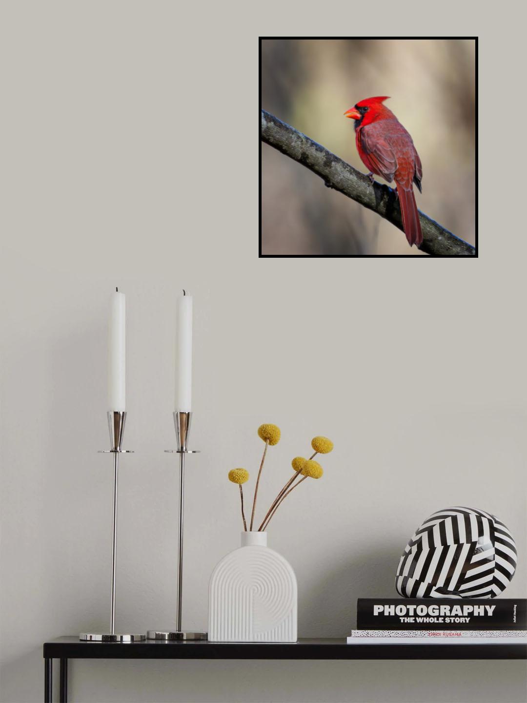 Cardinal Poster och Canvastavla