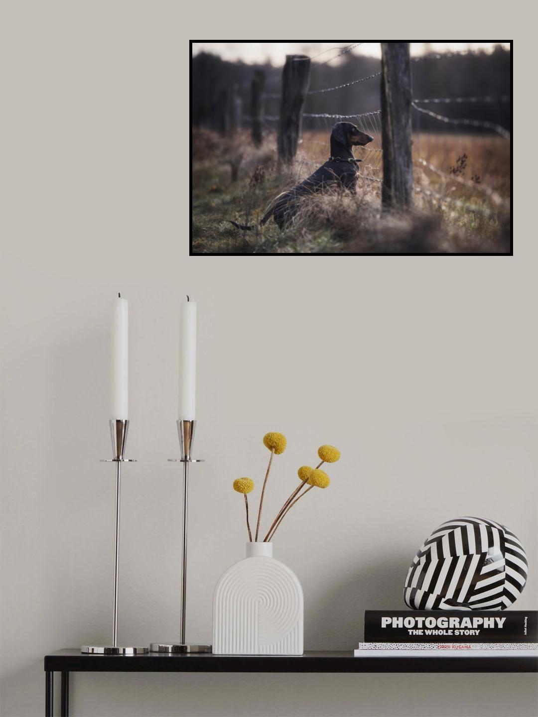 Forbidden Fruits... Poster och Canvastavla