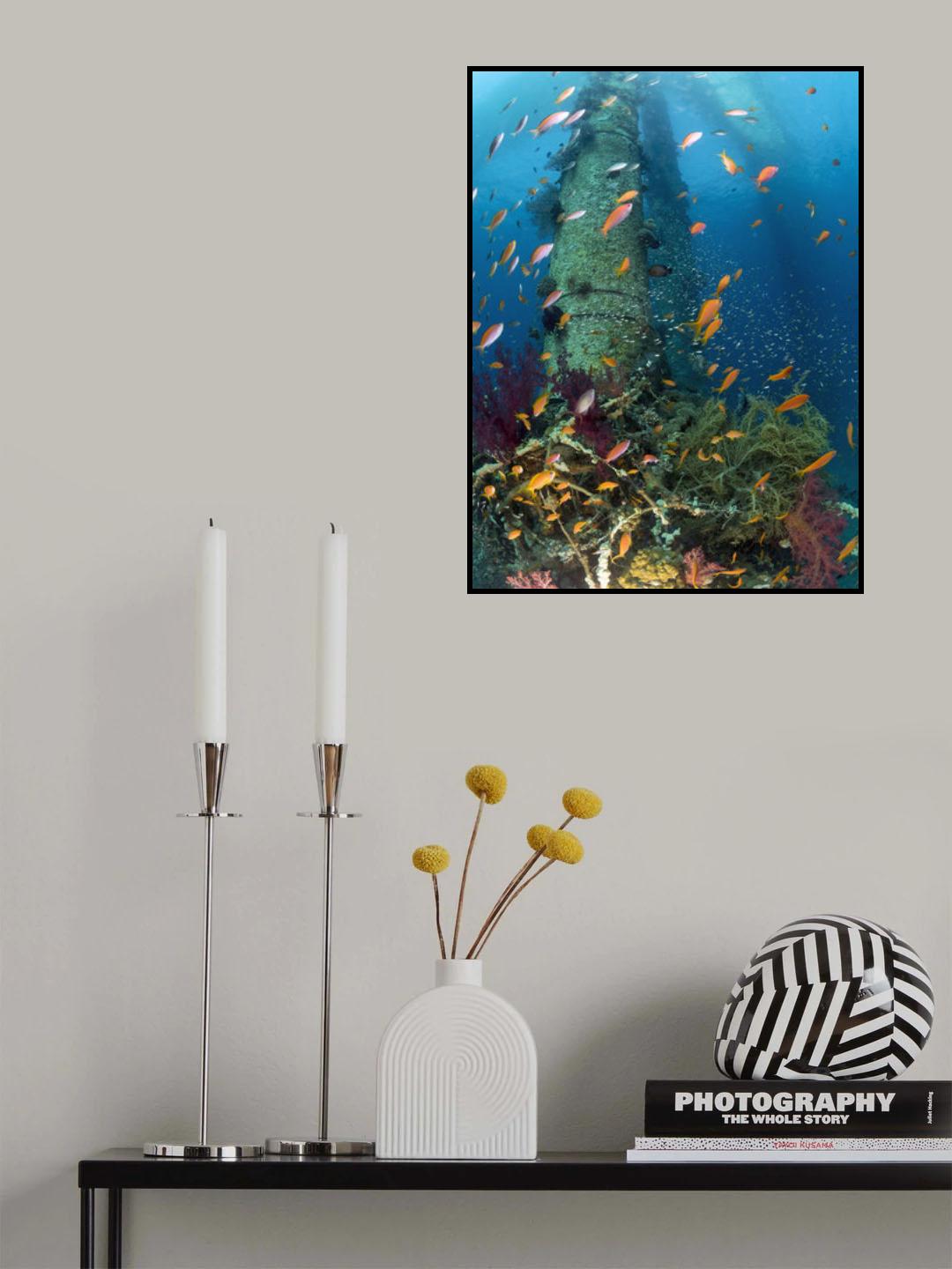 Under the bridge Poster och Canvastavla