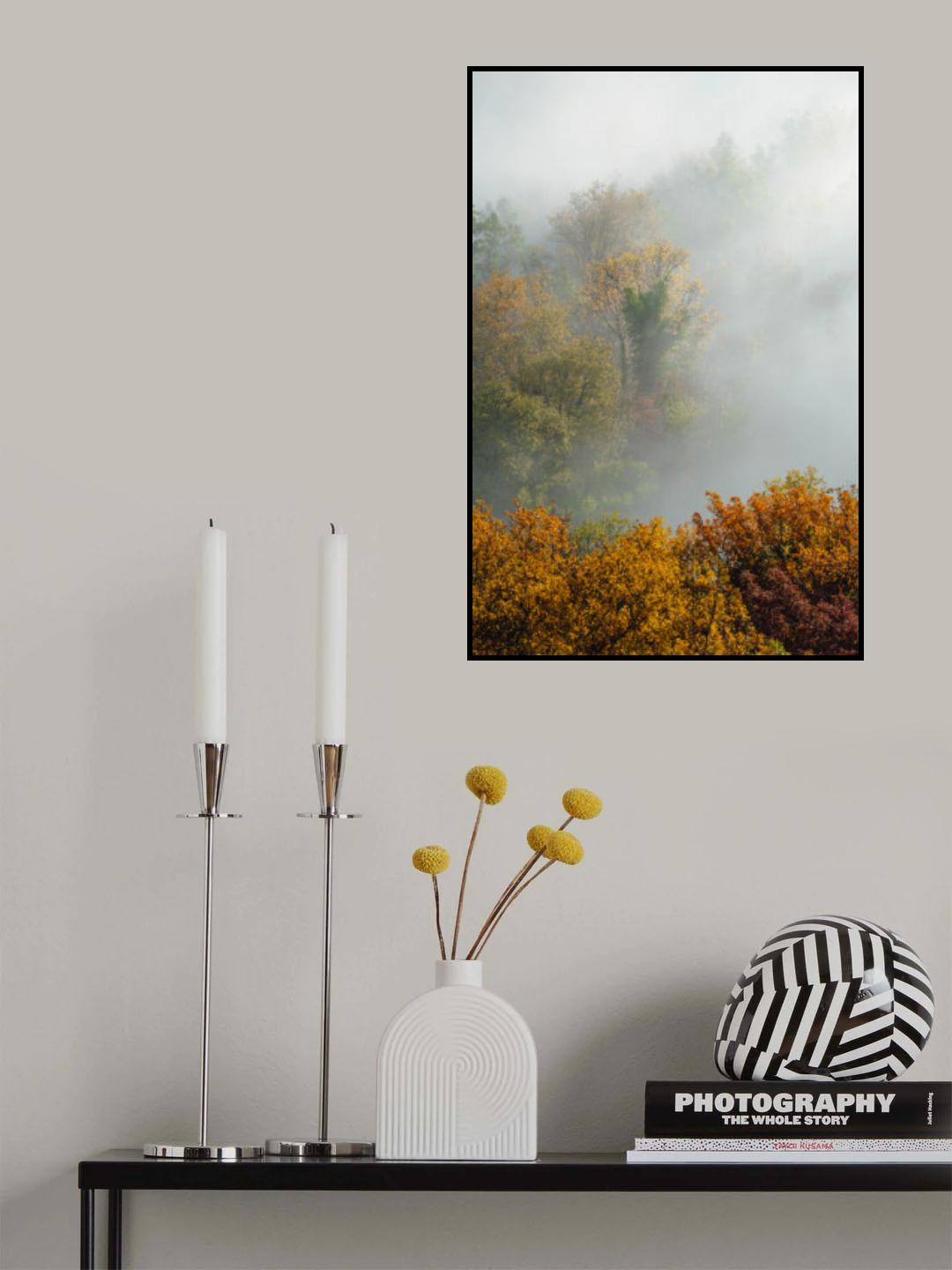 TREES IN FOG Poster och Canvastavla