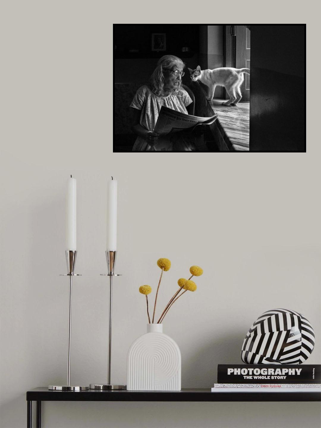 ACCOMPANY Poster och Canvastavla