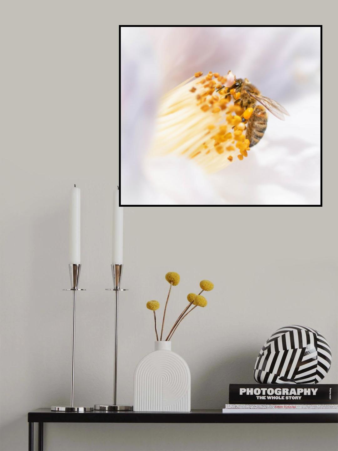 Enjoying Camellia Poster och Canvastavla