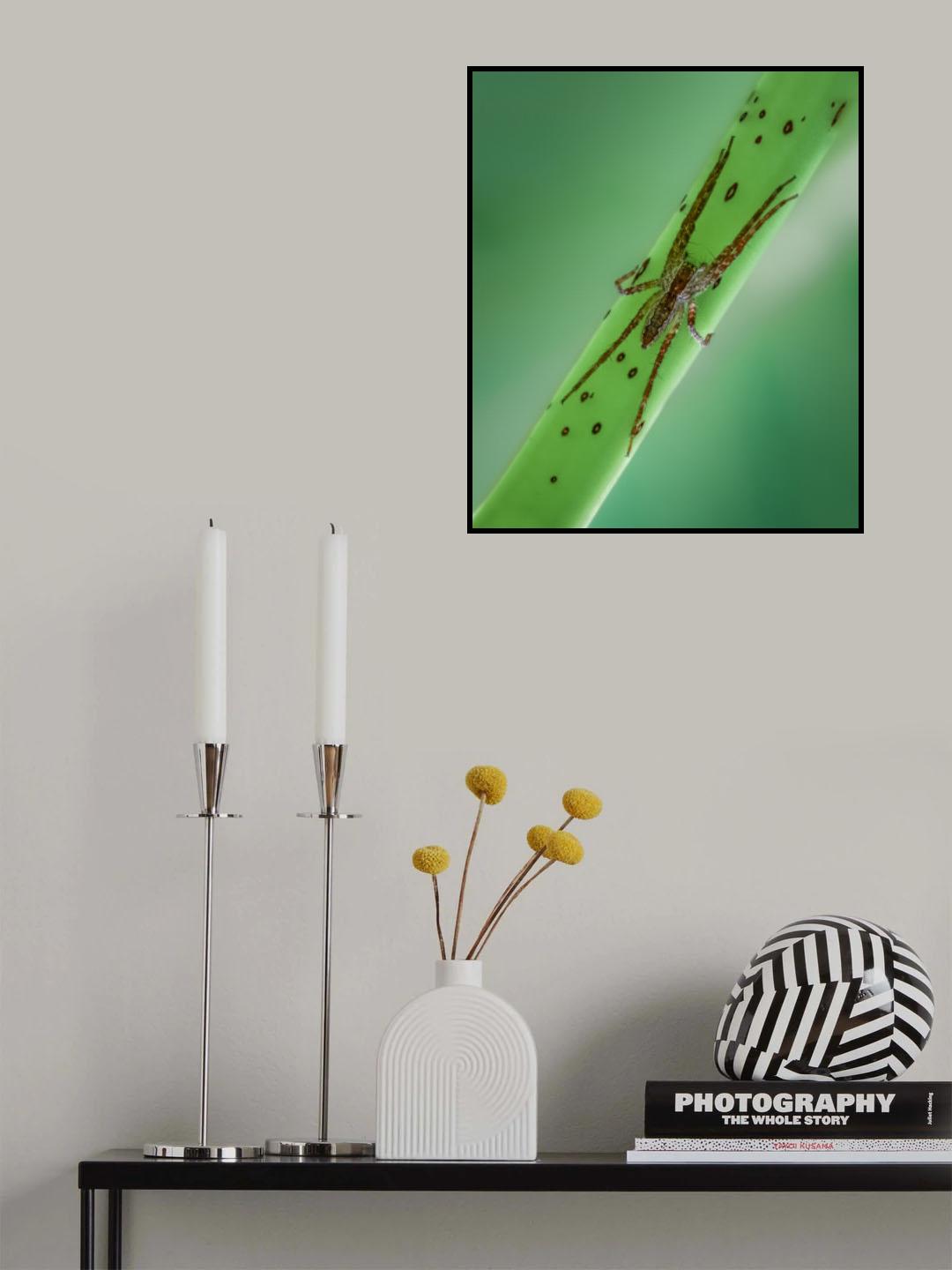 Crossed Poster och Canvastavla