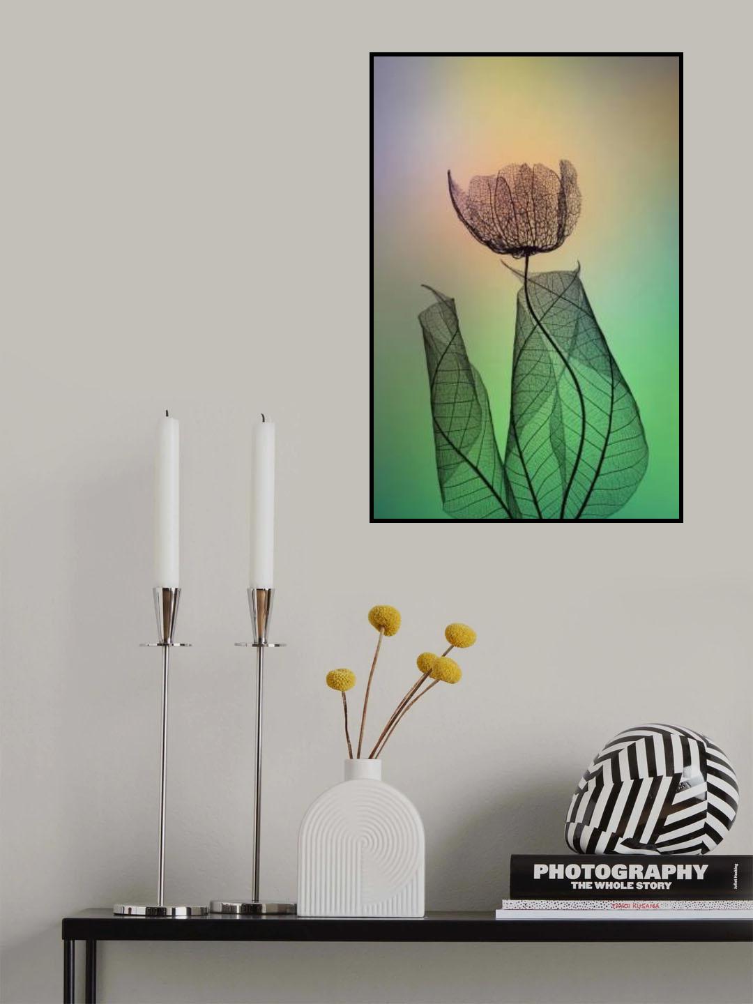 Limber Poster och Canvastavla