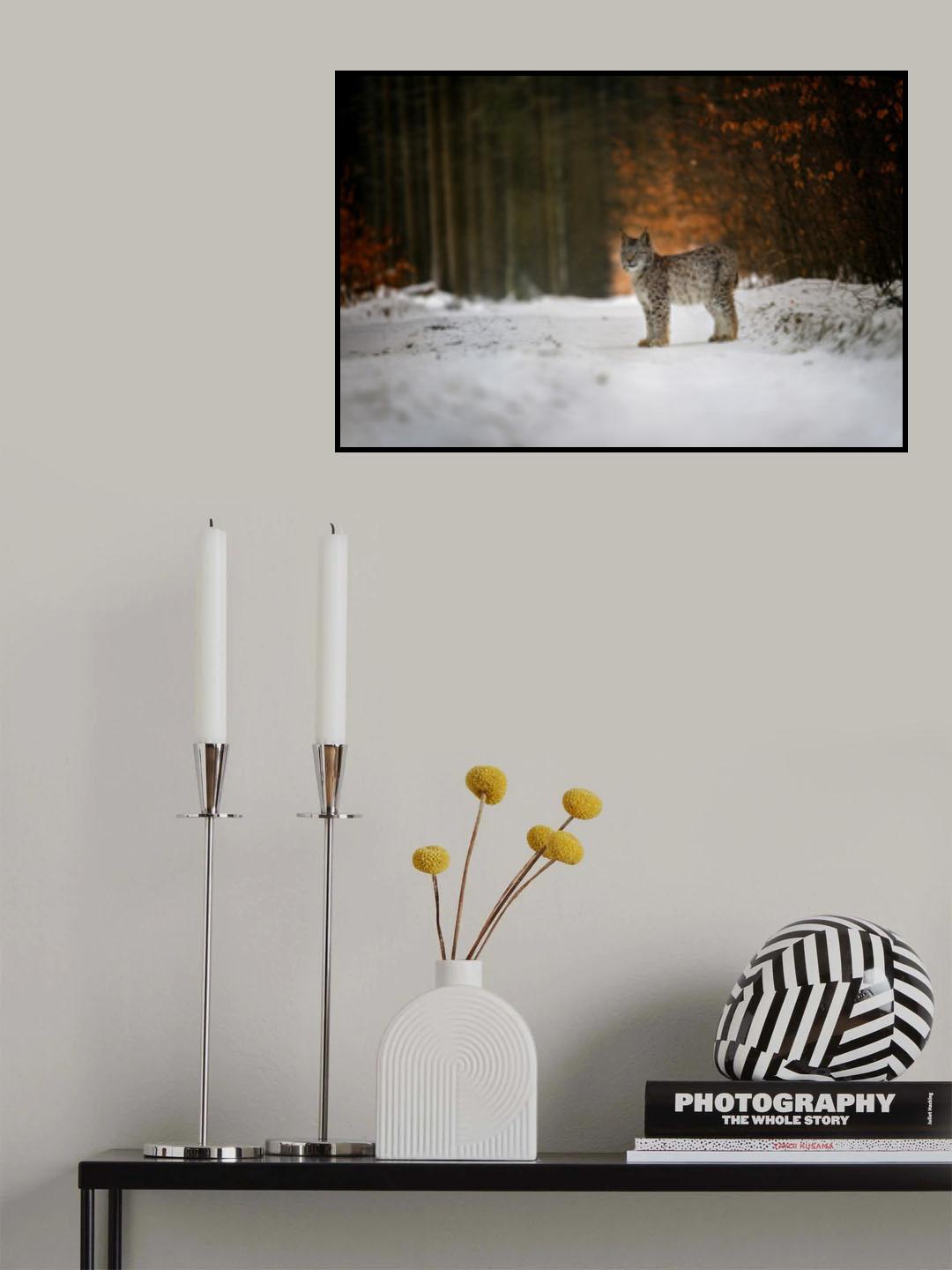 Bobcat in winter forest Poster och Canvastavla