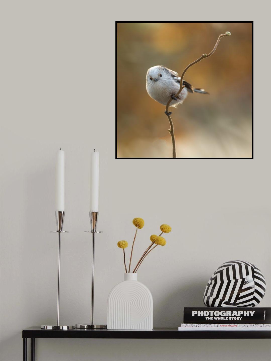 a rare bird in our garden Poster och Canvastavla