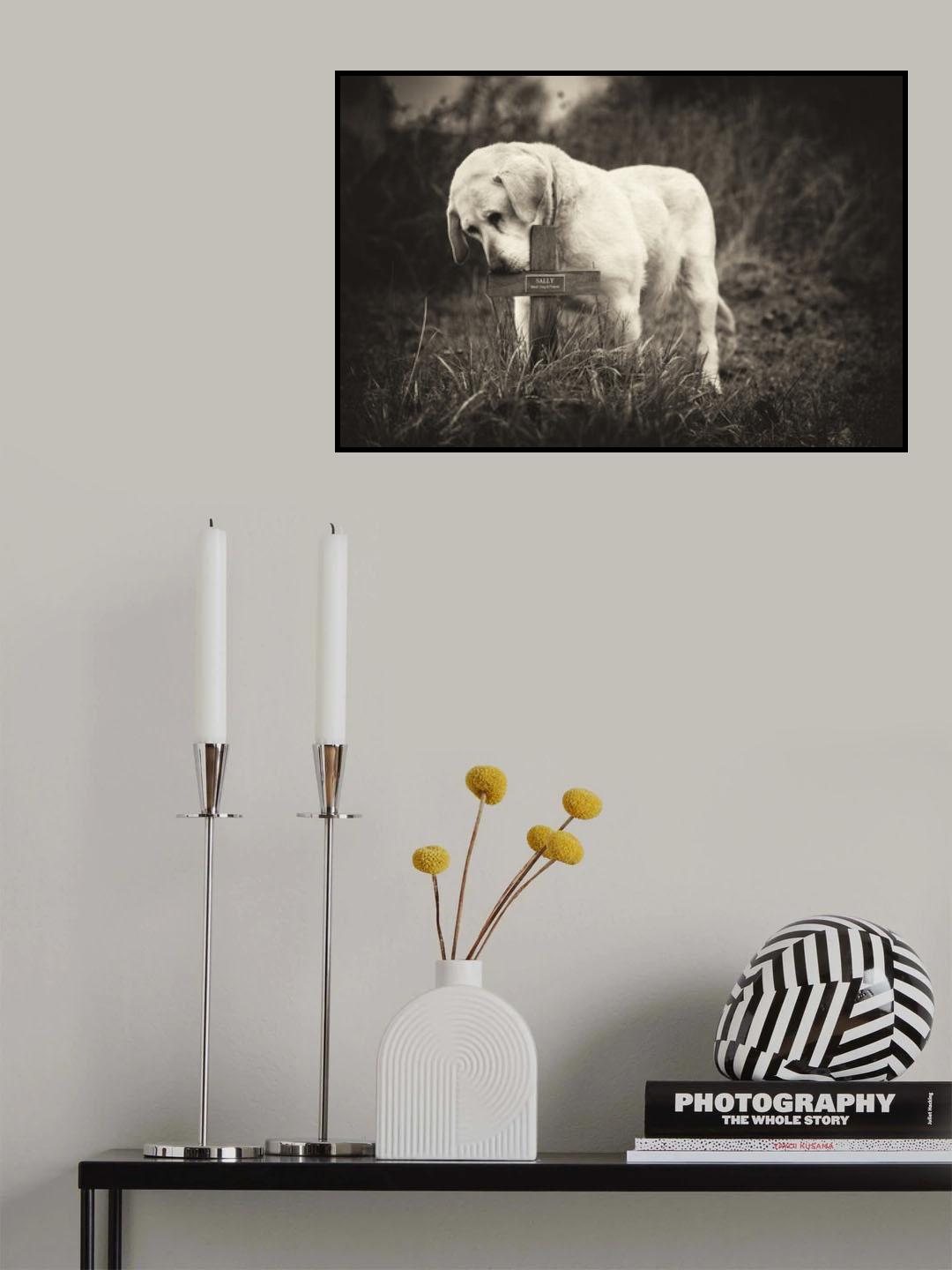 Melancholia Poster och Canvastavla