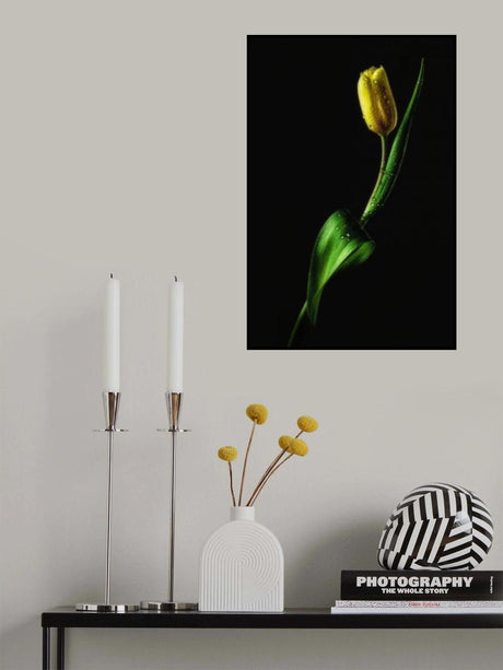 Tulip Poster och Canvastavla