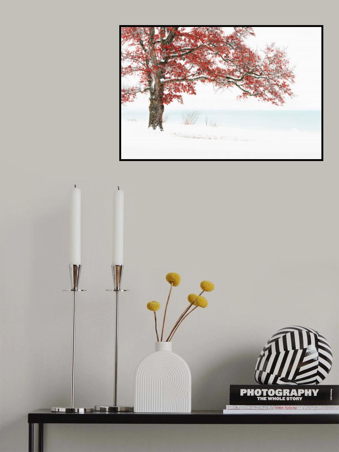 Winterdream Poster och Canvastavla