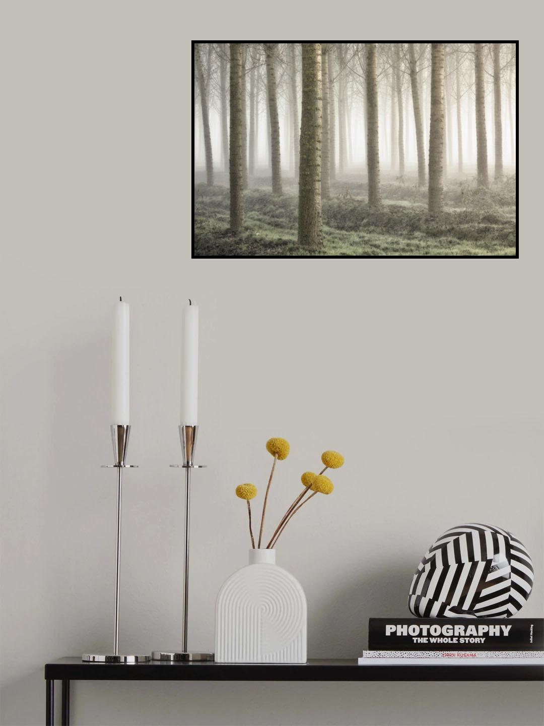 Small woodland Poster och Canvastavla